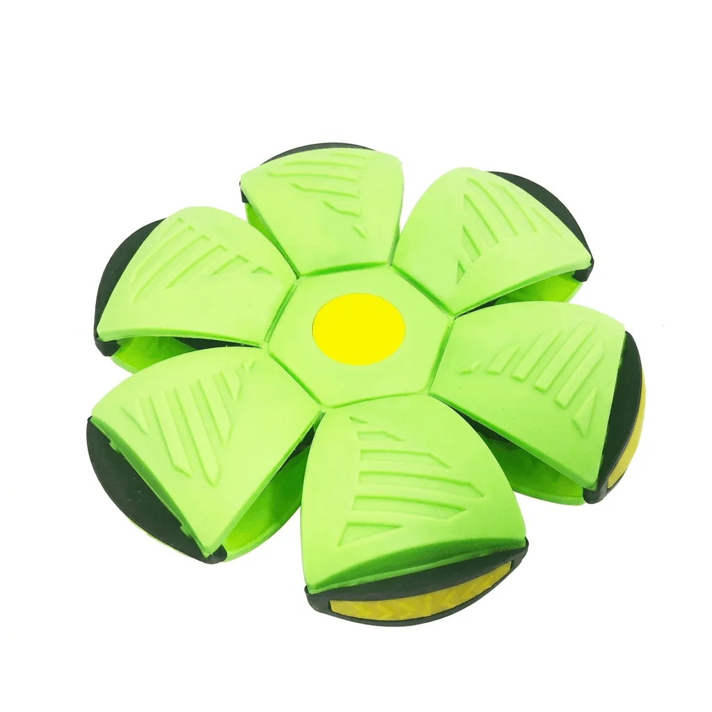 MorphoFly - Image 4